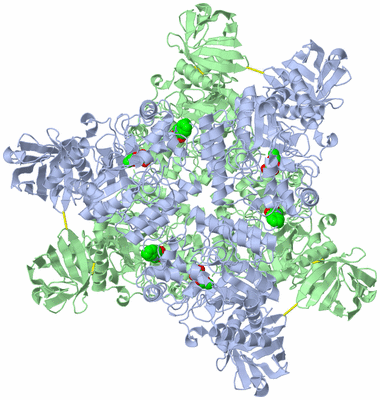 Image Biological Unit 1