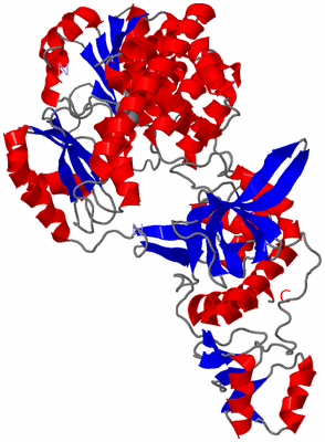 Image Asym./Biol. Unit