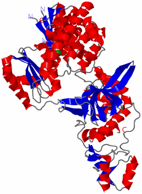 Image Asym./Biol. Unit