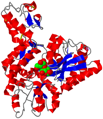 Image Asym./Biol. Unit