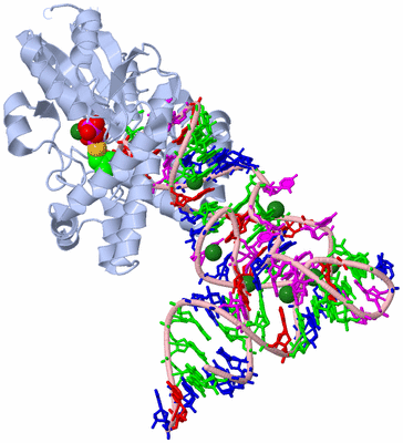 Image Biological Unit 1