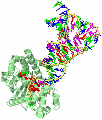 Image Biological Unit 2
