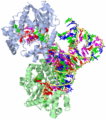 Image Biological Unit 3
