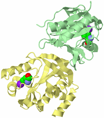 Image Biological Unit 2