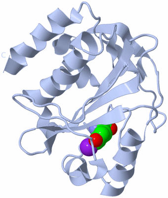 Image Biological Unit 3