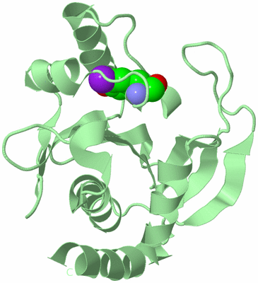 Image Biological Unit 4