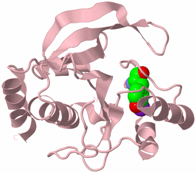 Image Biological Unit 5