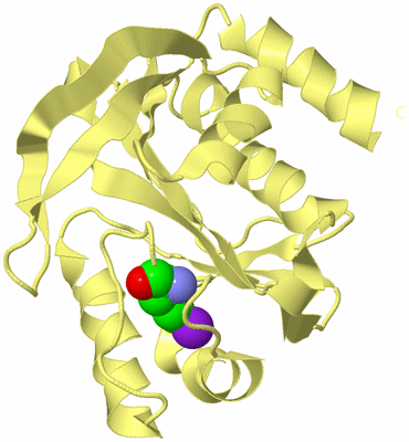 Image Biological Unit 6