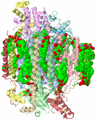 Image Biol. Unit 1 - sites