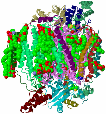 Image Biological Unit 2