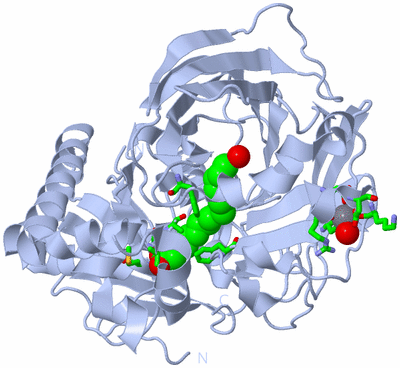 Image Biol. Unit 1 - sites