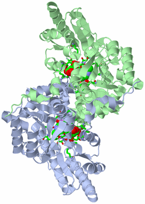 Image Asym./Biol. Unit - sites