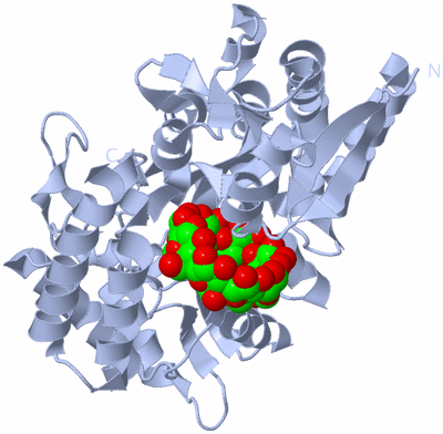 Image Biological Unit 1