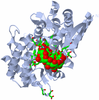 Image Biol. Unit 1 - sites