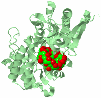 Image Biological Unit 2