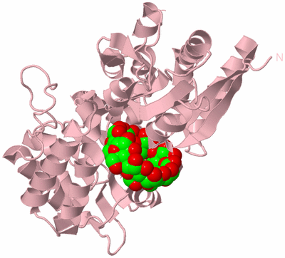 Image Biological Unit 3