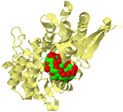 Image Biological Unit 4