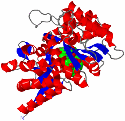 Image Asym./Biol. Unit