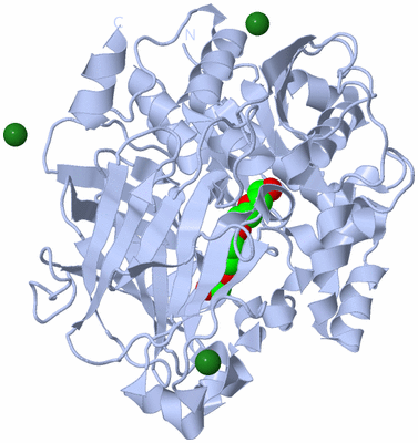 Image Biological Unit 1