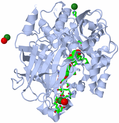 Image Biol. Unit 1 - sites