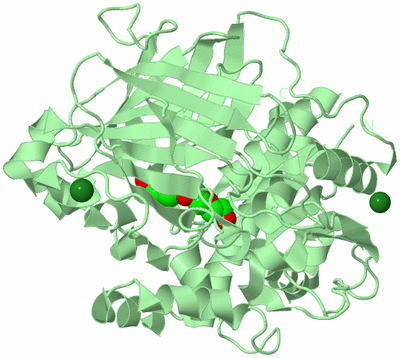 Image Biological Unit 2