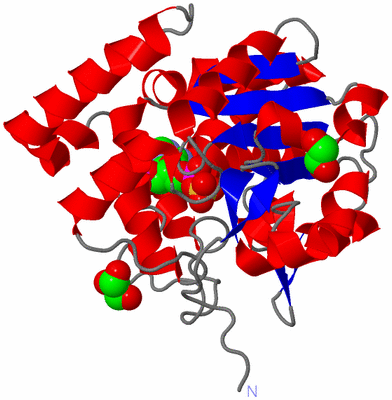 Image Asym./Biol. Unit