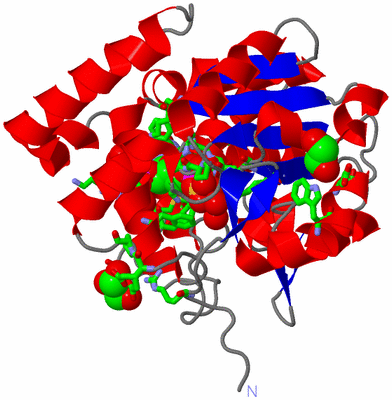 Image Asym./Biol. Unit - sites