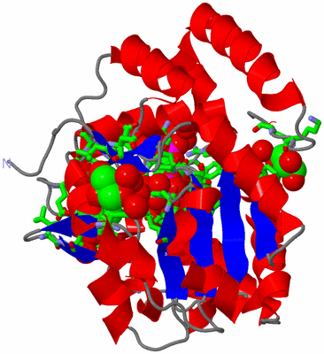 Image Asym./Biol. Unit - sites