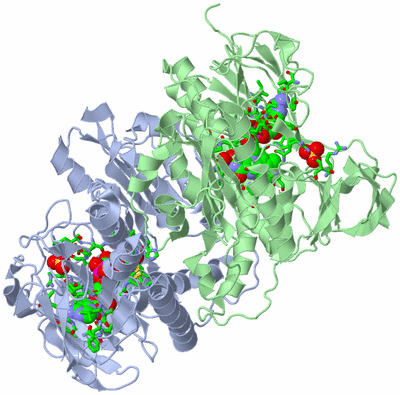 Image Biol. Unit 1 - sites