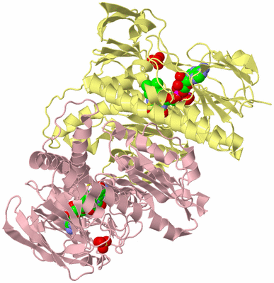 Image Biological Unit 2