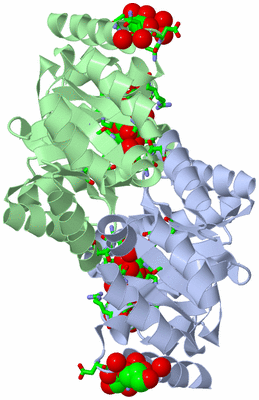 Image Asym./Biol. Unit - sites