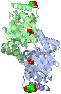 Image Asym./Biol. Unit