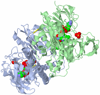 Image Biological Unit 1