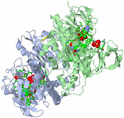 Image Biol. Unit 1 - sites