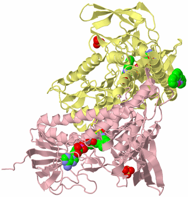 Image Biological Unit 2