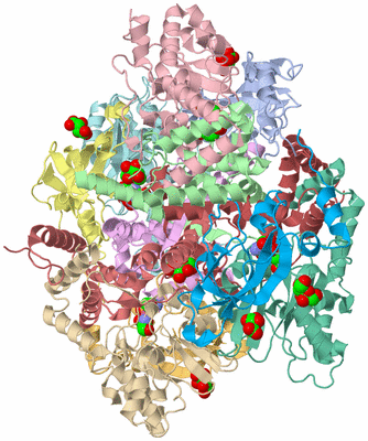 Image Asym./Biol. Unit