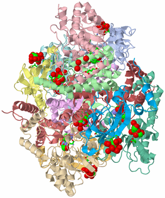 Image Asym./Biol. Unit - sites