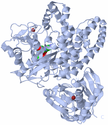 Image Biological Unit 1