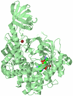 Image Biological Unit 2