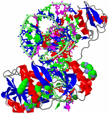 Image Asym./Biol. Unit