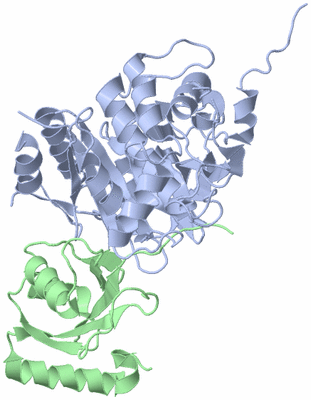 Image Asym./Biol. Unit