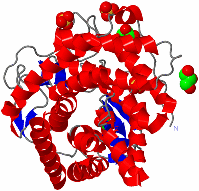 Image Asym./Biol. Unit