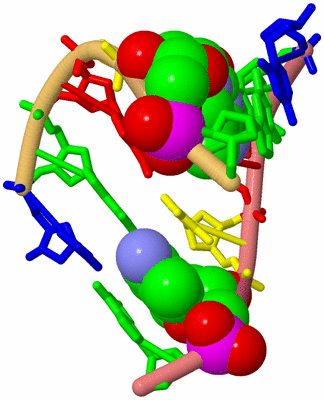 Image Biological Unit 4