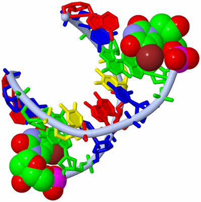 Image Biological Unit 1