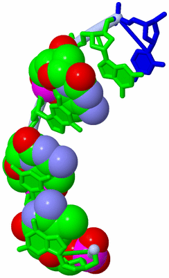 Image Asymmetric Unit