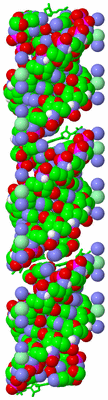 Image Asymmetric Unit