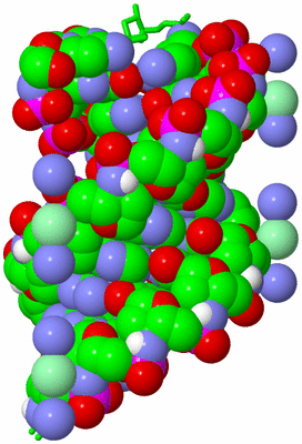 Image Biological Unit 2