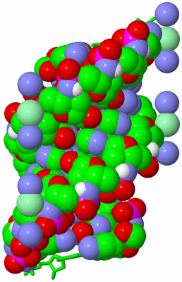 Image Biological Unit 3