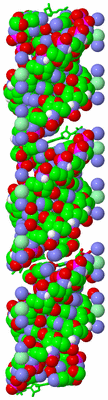 Image Asym. Unit - sites