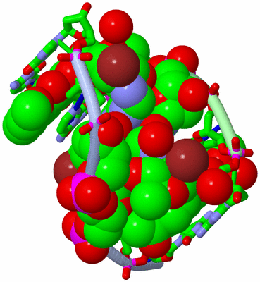 Image Asym./Biol. Unit - sites